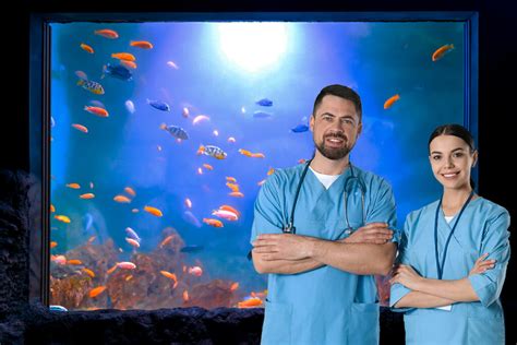 aquatic vet near me|koi fish doctor near me.